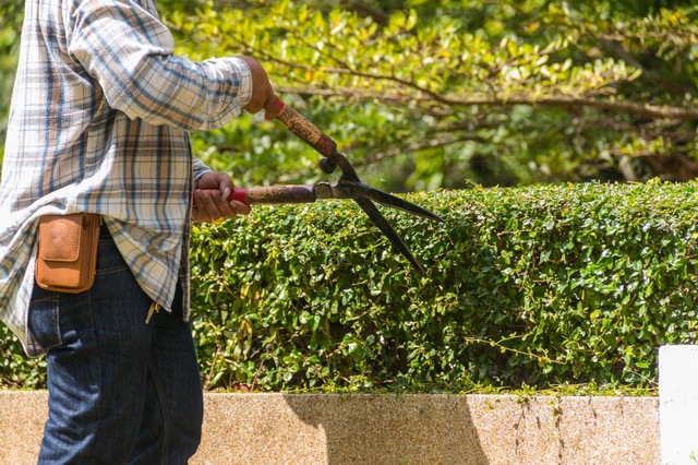 Garden Maintenance Dagenham, RM8, RM9, RM10